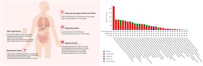 Functional and clinical characteristics of focal adhesion kinases in cancer progression